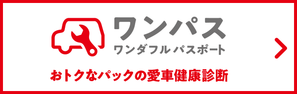 ワンパス